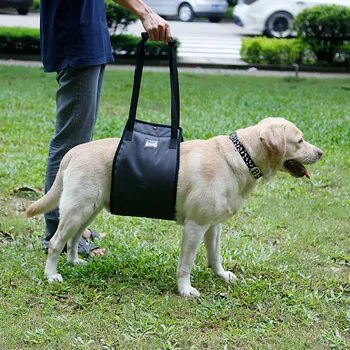 Средства за грижа за домашни любимци, помощен колан за възрастни кучета с увреждания и на ранени, за задните крака, шлейка за подкрепа на задните части, при ходене