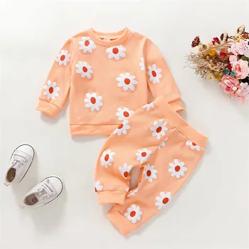 FOCUSNORM / Комплекти за есента на облекло от 2 теми за малките момичета 0-24 м, Пуловер с дълги ръкави и цветисти принтом, Hoody, Блузи, Панталони