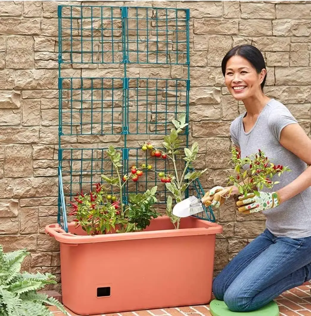 Кутия за поливане на Зеленчуци с Решетка Количка - Мобилен градина